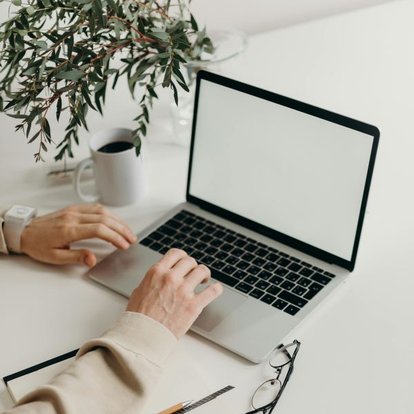 computer with plant